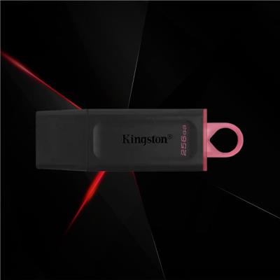 Pen Drive Kingston 256GB Exodia DTX Negro-Rosa